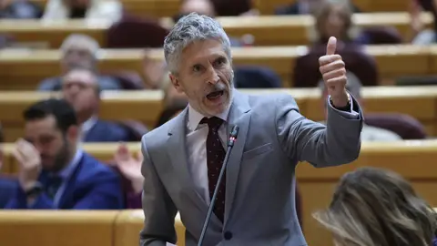 El ministro del Interior, Fernando Grande Marlaska, interviene en el pleno del Senado El ministro del Interior, Fernando Grande Marlaska, interviene en el pleno del Senado