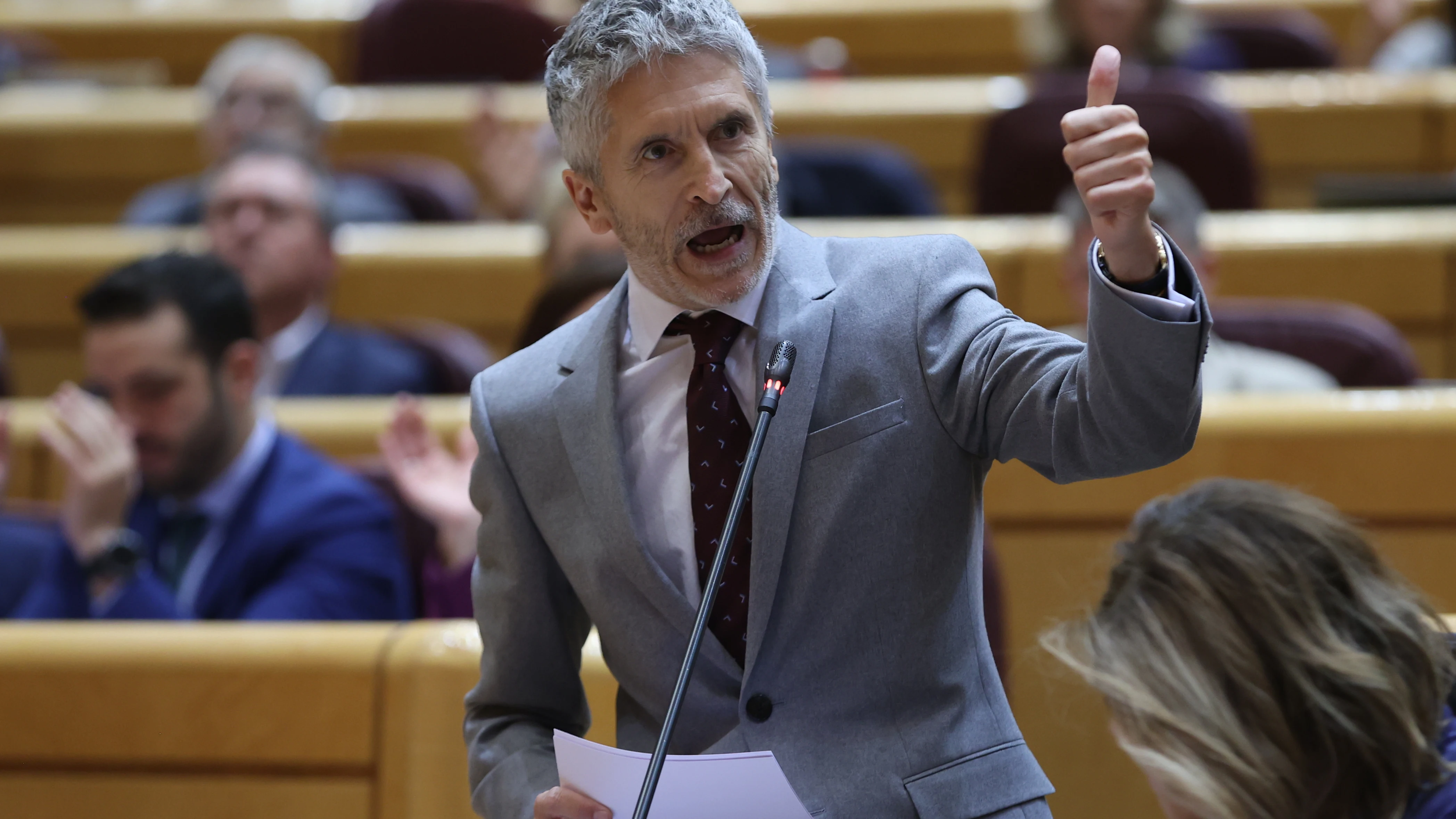 El ministro del Interior, Fernando Grande Marlaska, interviene en el pleno del Senado El ministro del Interior, Fernando Grande Marlaska, interviene en el pleno del Senado