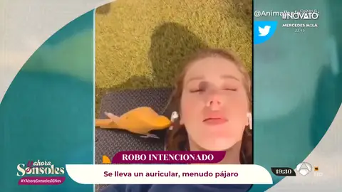 si lo veo me lo creo si lo veo me lo creo