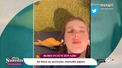 Vídeos de impacto: ¡Activa todos los sentidos! Un robo puede producirse de la manera más inesperada