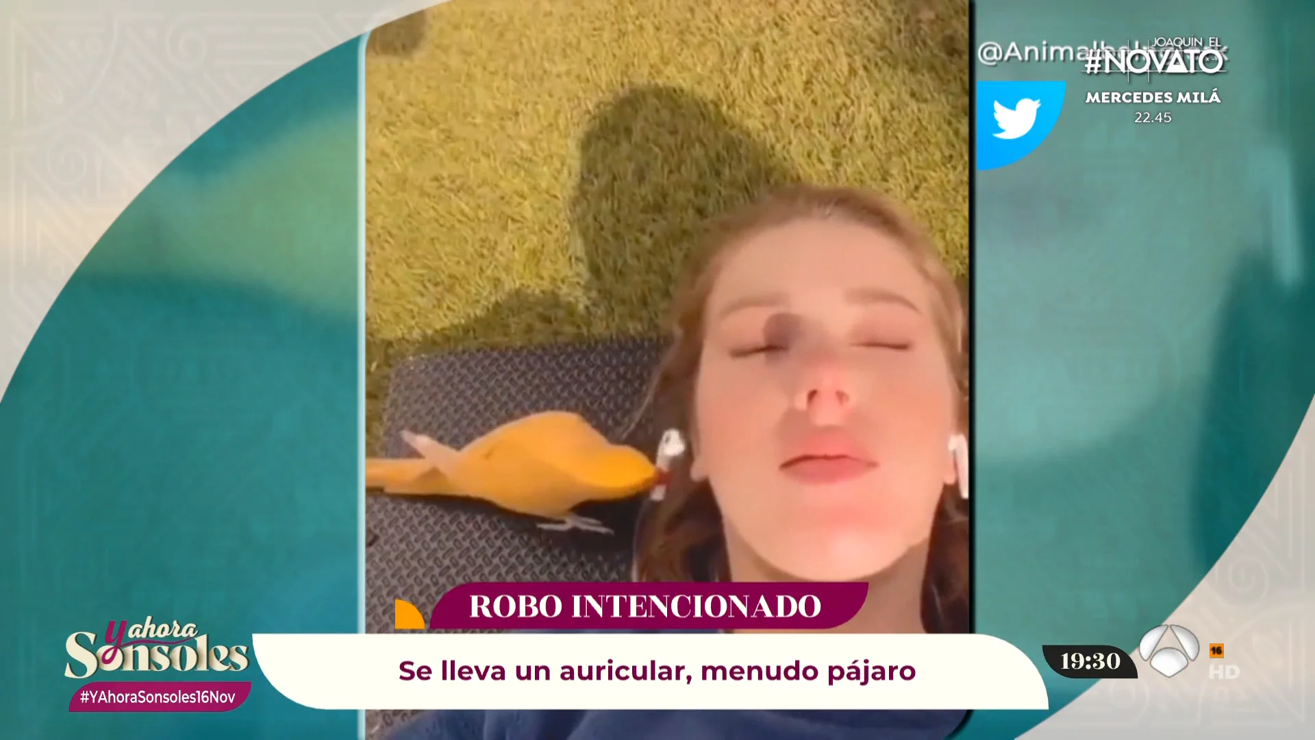 si lo veo me lo creo