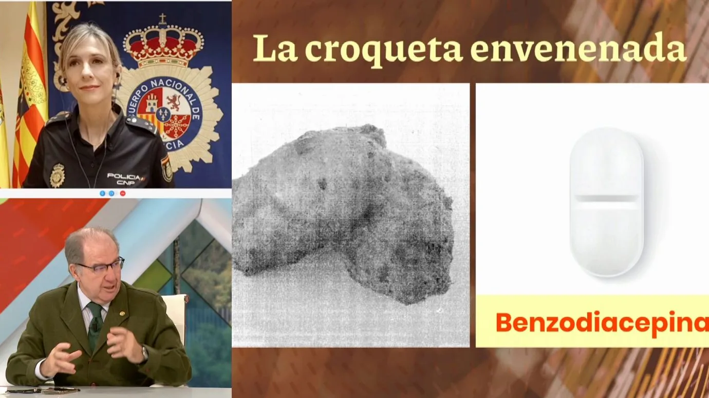 As&iacute; actuaba la envenenadora de la croqueta.