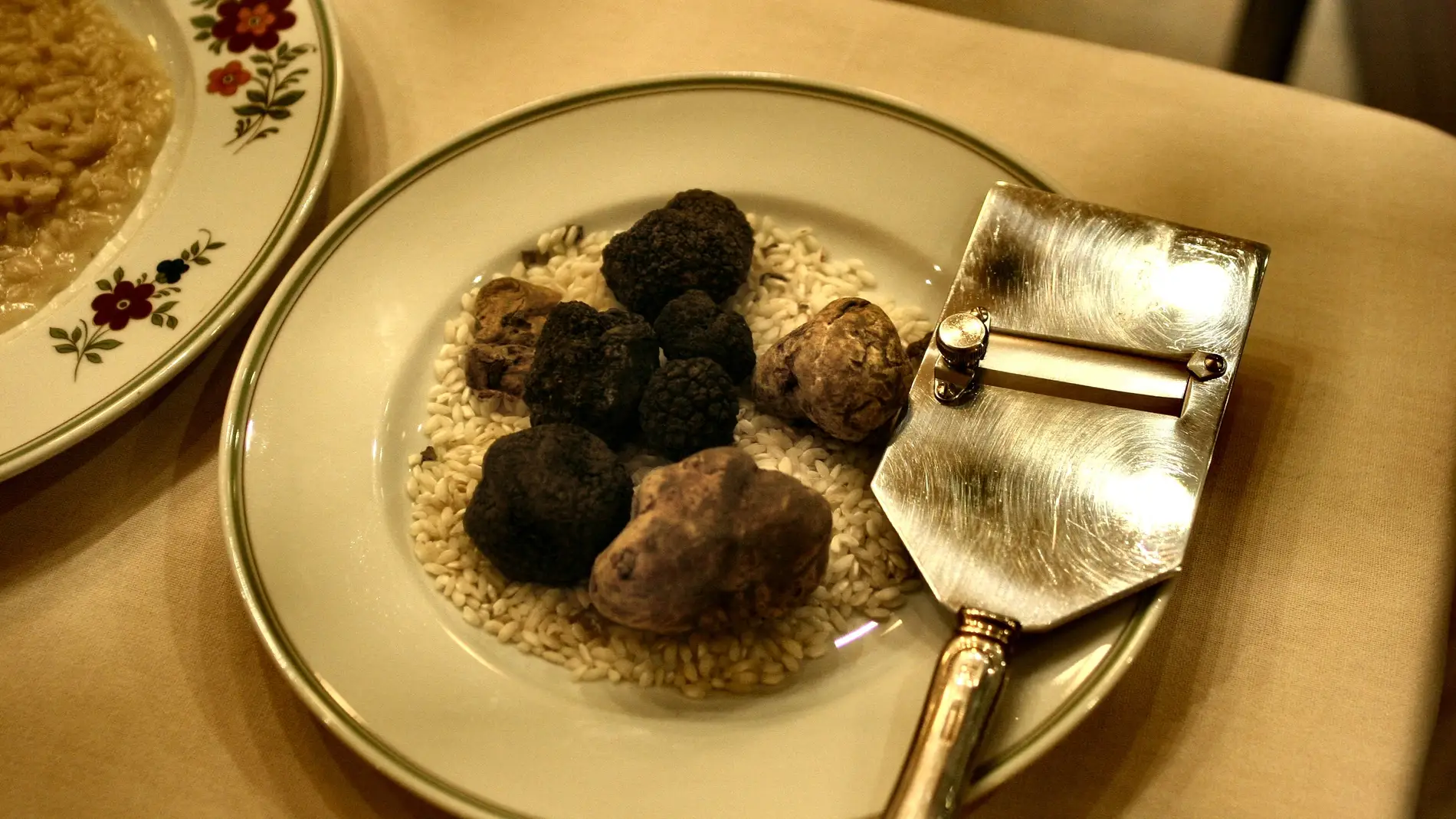 Trufas blancas y negras en un plato