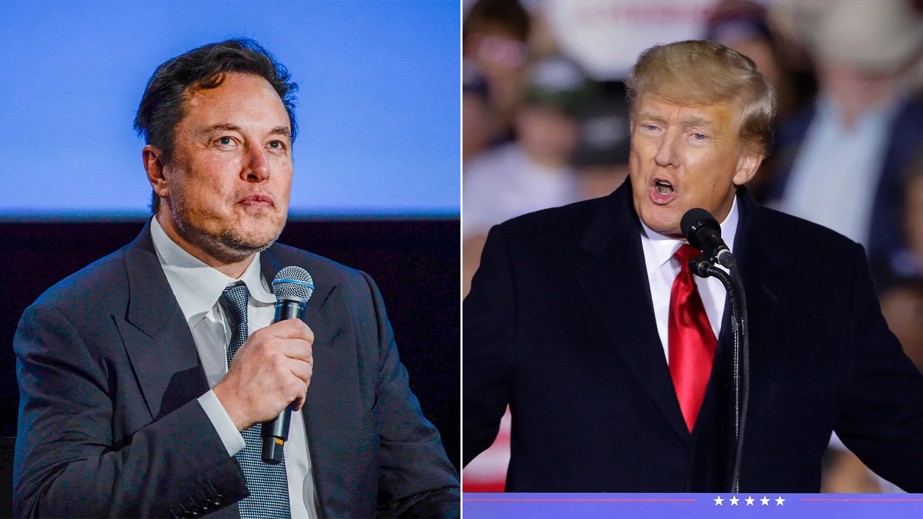 Imagen de archivo de Elon Musk y Donald Trump Imagen de archivo de Elon Musk y Donald Trump