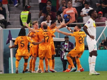 Cody Gakpo celebra su gol ante Senegal