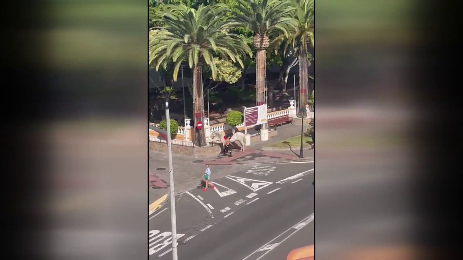 Se baja de su caballo e intenta agredir con los estribos a un grupo de personas que le increpa en Tenerife 