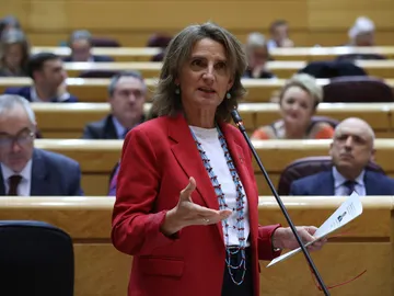 La vicepresidenta tercera y ministra para la Transición Ecológica y el Reto Demográfico, Teresa Ribera, La vicepresidenta tercera y ministra para la Transición Ecológica y el Reto Demográfico, Teresa Ribera,