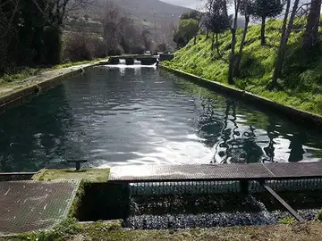 La acuicultura: el suministro de pescado sostenible, local y a buen precio La acuicultura: el suministro de pescado sostenible, local y a buen precio