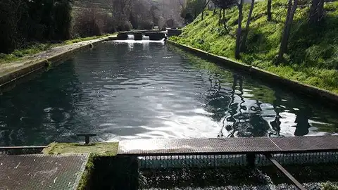 La acuicultura: el suministro de pescado sostenible, local y a buen precio La acuicultura: el suministro de pescado sostenible, local y a buen precio