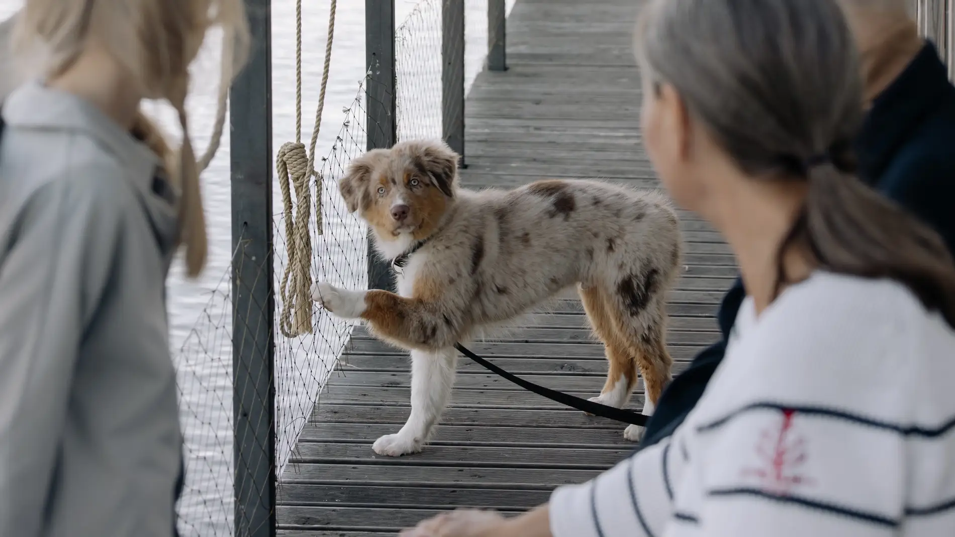 Una pareja de ancianos y una niña junto a un perro.