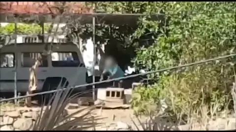 maltratoanimal maltratoanimal