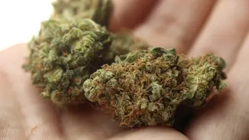 Denuncian a una empresa de catering por servir comida con marihuana durante el banquete de una boda en Florida Denuncian a una empresa de catering por servir comida con marihuana durante el banquete de una boda en Florida