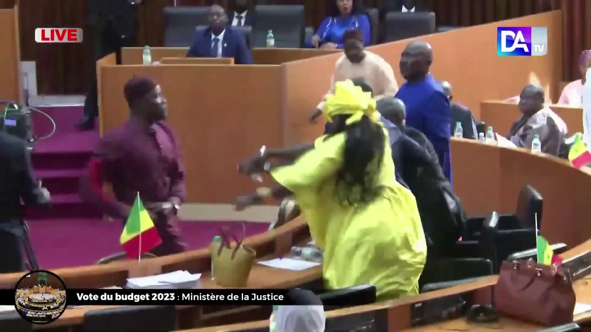 peleasenegalparlamento peleasenegalparlamento