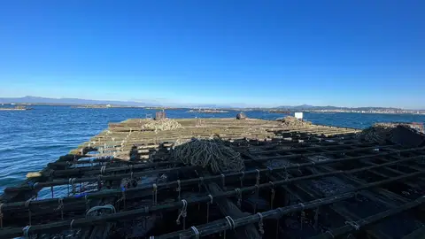 Batea en Galicia Batea en Galicia