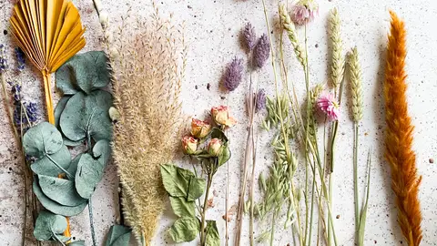 Flores secas Flores secas