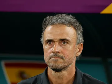 Luis Enrique, en el partido que enfrentaba a España y Marruecos en los octavos de final Luis Enrique, en el partido que enfrentaba a España y Marruecos en los octavos de final