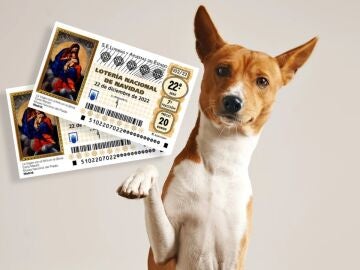 Los animales videntes de la Lotería de Navidad Los animales videntes de la Lotería de Navidad