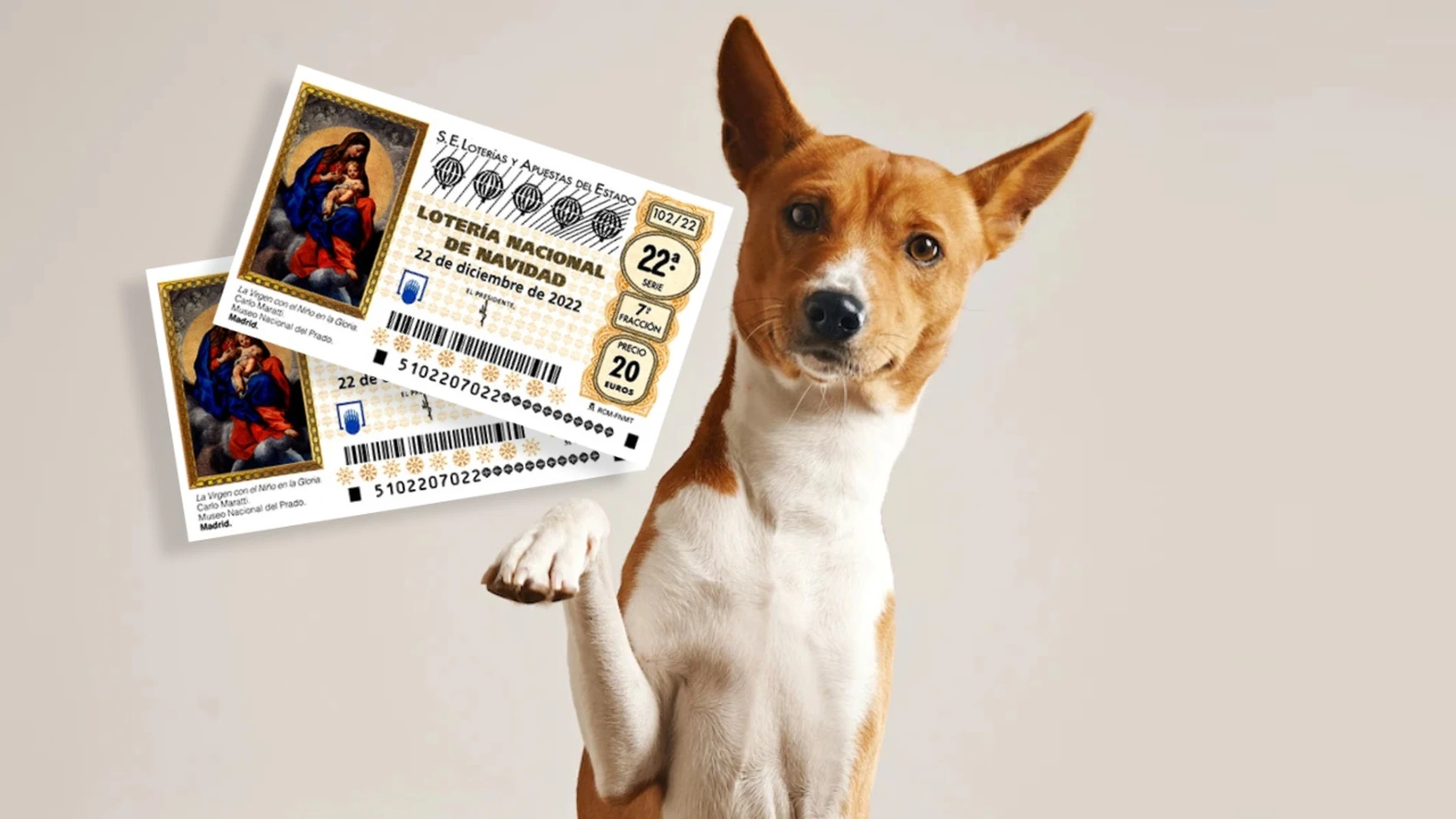 Los animales videntes de la Lotería de Navidad Los animales videntes de la Lotería de Navidad