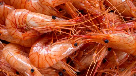 Langostinos Langostinos