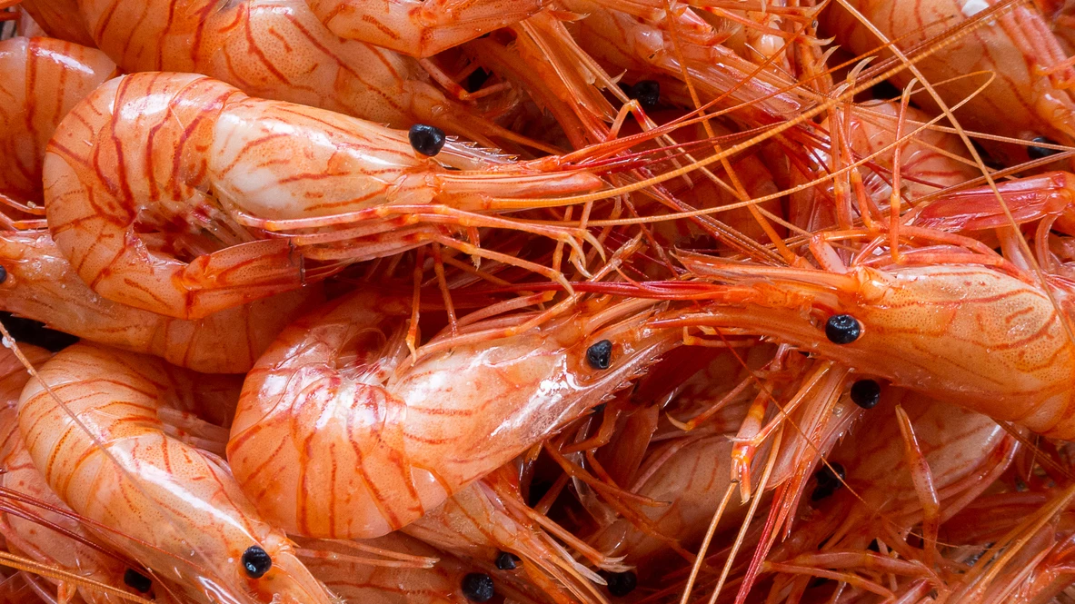 Langostinos Langostinos