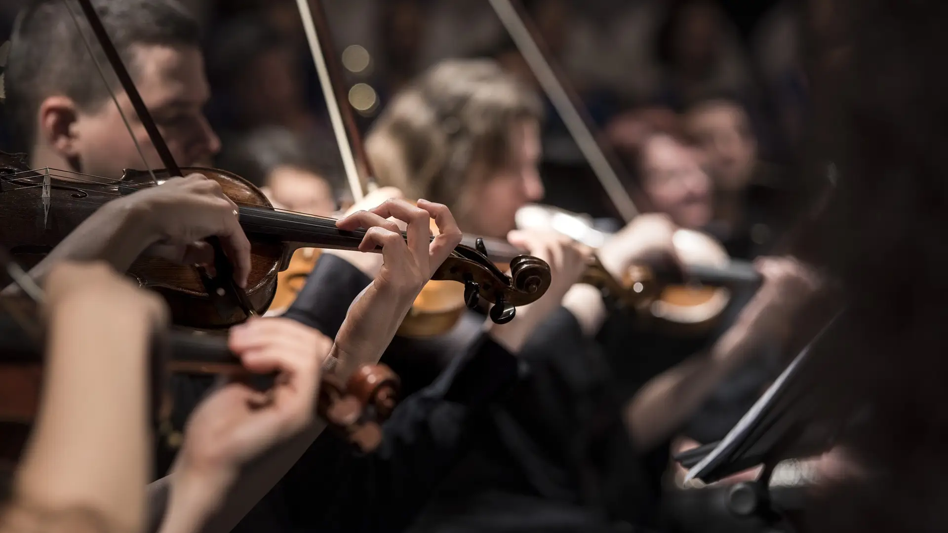 M&uacute;sicos tocando el viol&iacute;n 