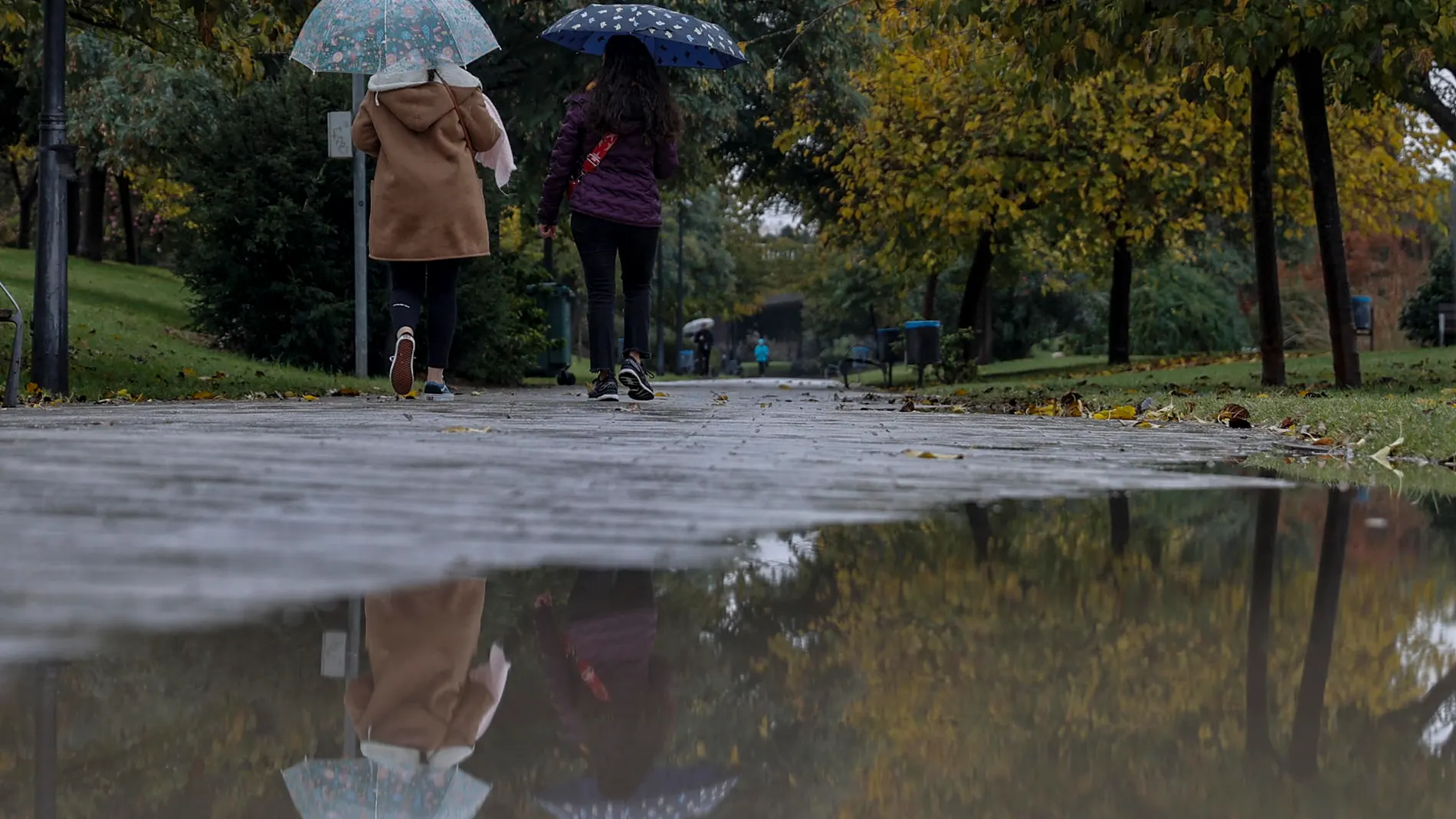 Imagen de dos personas con paraguas bajo la lluvia