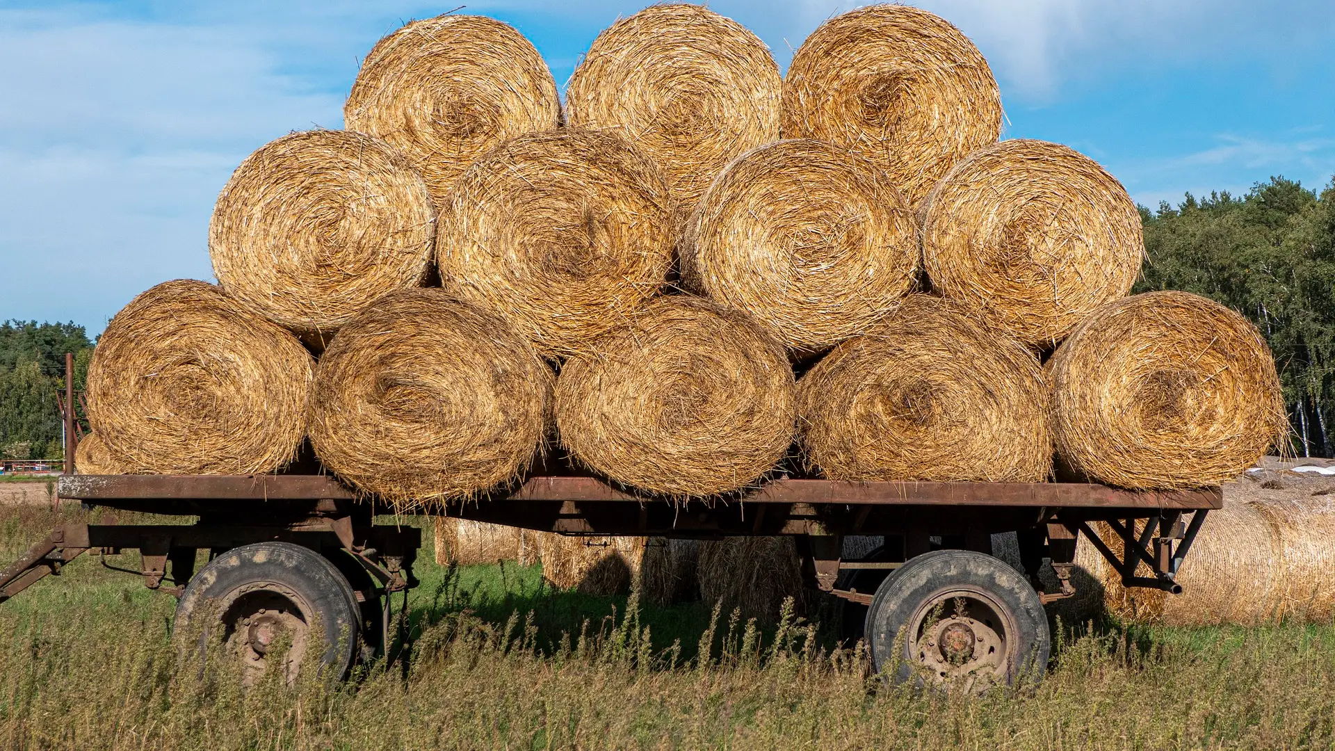 Imagen de archivo de un tractor con pacas de paja Imagen de archivo de un tractor con pacas de paja