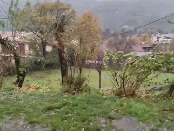 Temporal