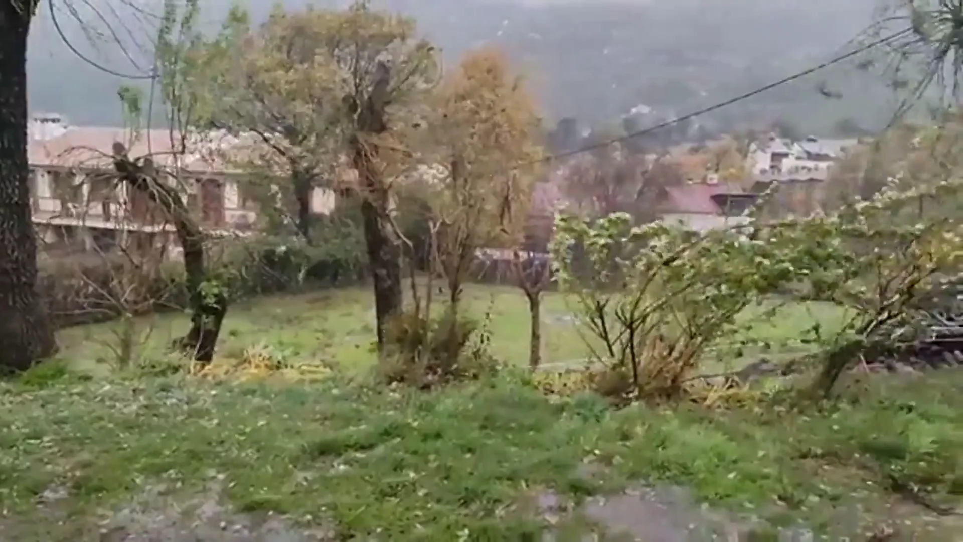 Temporal Temporal