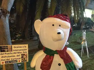 El 'oso perjudicado' de la cabalgata de reyes de Cádiz El 'oso perjudicado' de la cabalgata de reyes de Cádiz