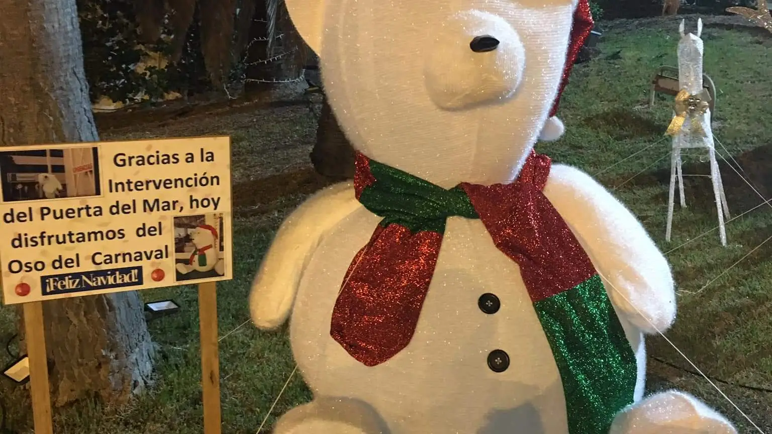 El 'oso perjudicado' de la cabalgata de reyes de C&aacute;diz