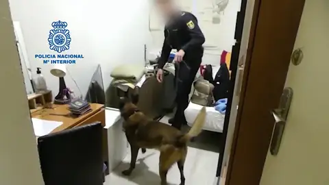 La Policía Nacional investiga el piso en el que 13 mujeres estaban siendo explotadas sexualmente Liberan a 13 mujeres explotadas sexualmente en Valladolid