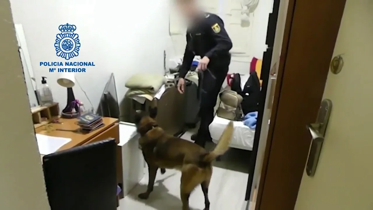 La Policía Nacional investiga el piso en el que 13 mujeres estaban siendo explotadas sexualmente Liberan a 13 mujeres explotadas sexualmente en Valladolid