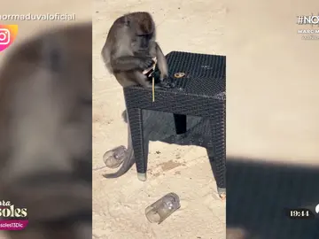 Norma Duval, víctima de un divertido robo mientras disfruta de su luna de miel en Malasia Norma Duval, víctima de un divertido robo mientras disfruta de su luna de miel en Malasia