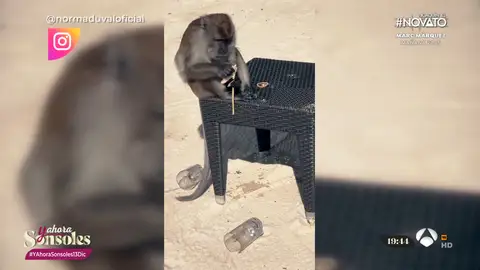 Norma Duval, víctima de un divertido robo mientras disfruta de su luna de miel en Malasia Norma Duval, víctima de un divertido robo mientras disfruta de su luna de miel en Malasia