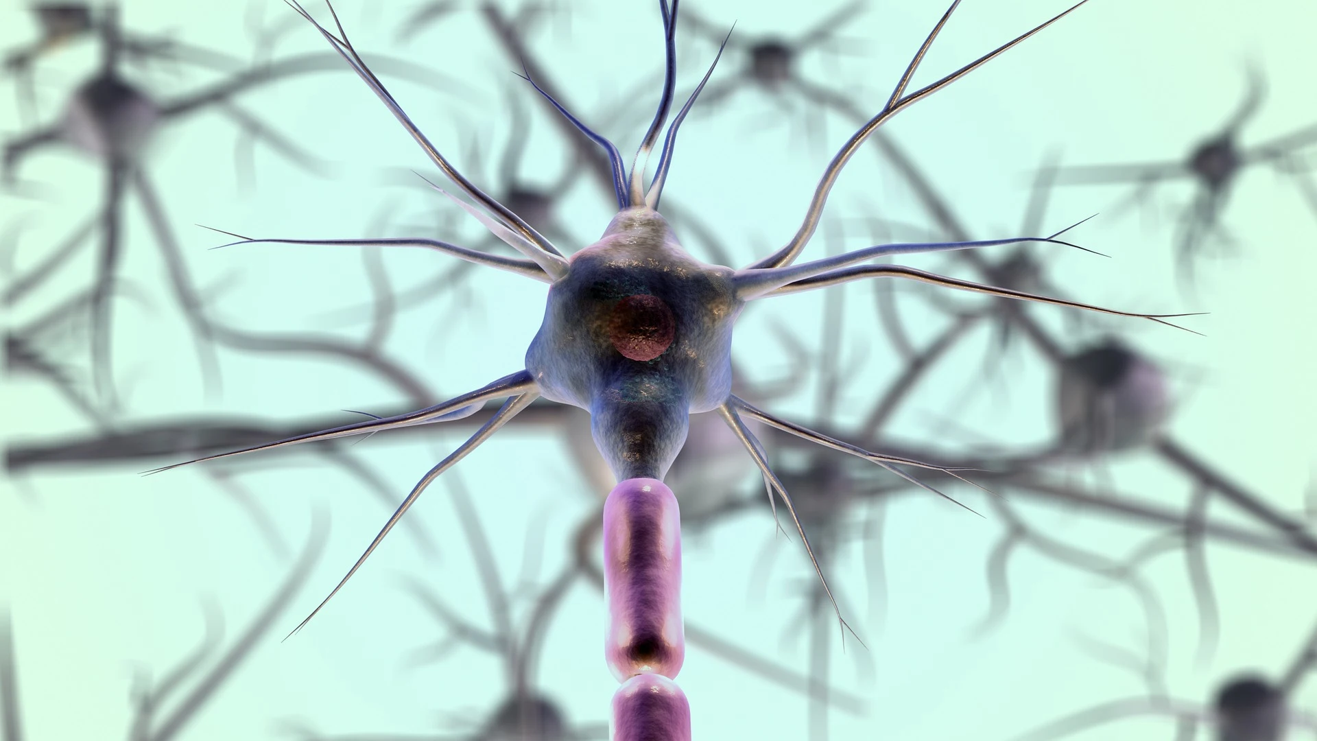 Neurona Neurona