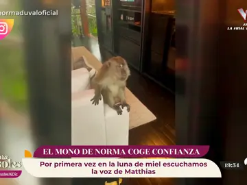 El mono de Norma Duval coge confianza... ¡Incluso ha conocido a Matthias Kühn! El mono de Norma Duval coge confianza... ¡Incluso ha conocido a Matthias Kühn!