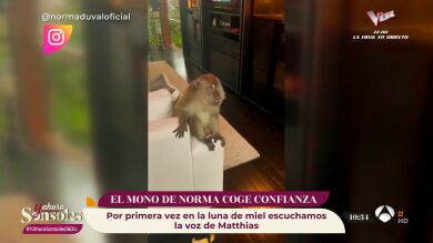El mono de Norma Duval coge confianza... ¡Incluso ha conocido a Matthias Kühn!