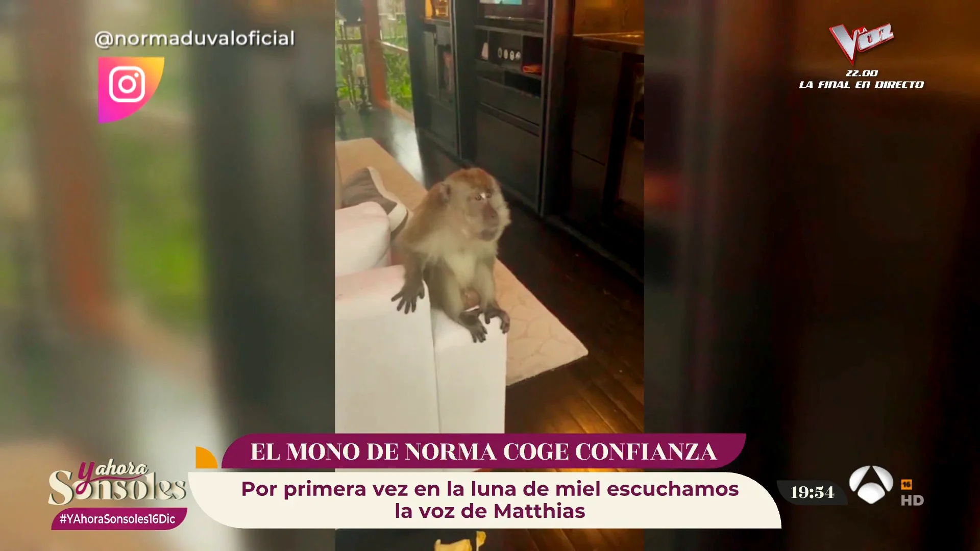El mono de Norma Duval coge confianza... &iexcl;Incluso ha conocido a Matthias K&uuml;hn!