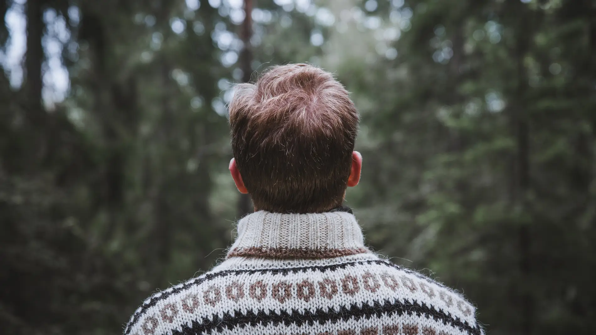 Hombre mirando el bosque de espaldas con un jersey con motivos navideños
