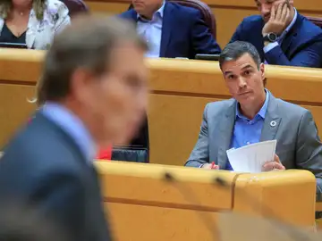 Sánchez y Feijóo, en un cara a cara en el Senado Sánchez y Feijóo, en un cara a cara en el Senado