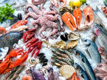 Marisco expuesto en la pescadería Marisco expuesto en la pescadería