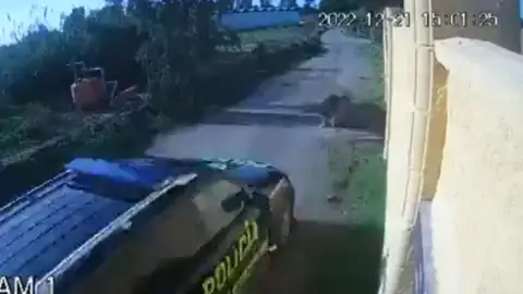 El momento en que el coche atropella a la perrita El momento en que el coche atropella a la perrita