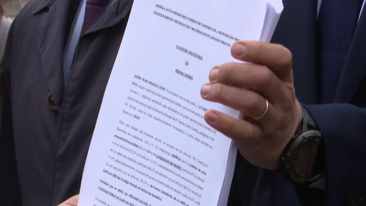 Vox presenta una querella contra Pedro Sánchez por un presunto delito ...