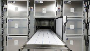 Imagen de una morgue