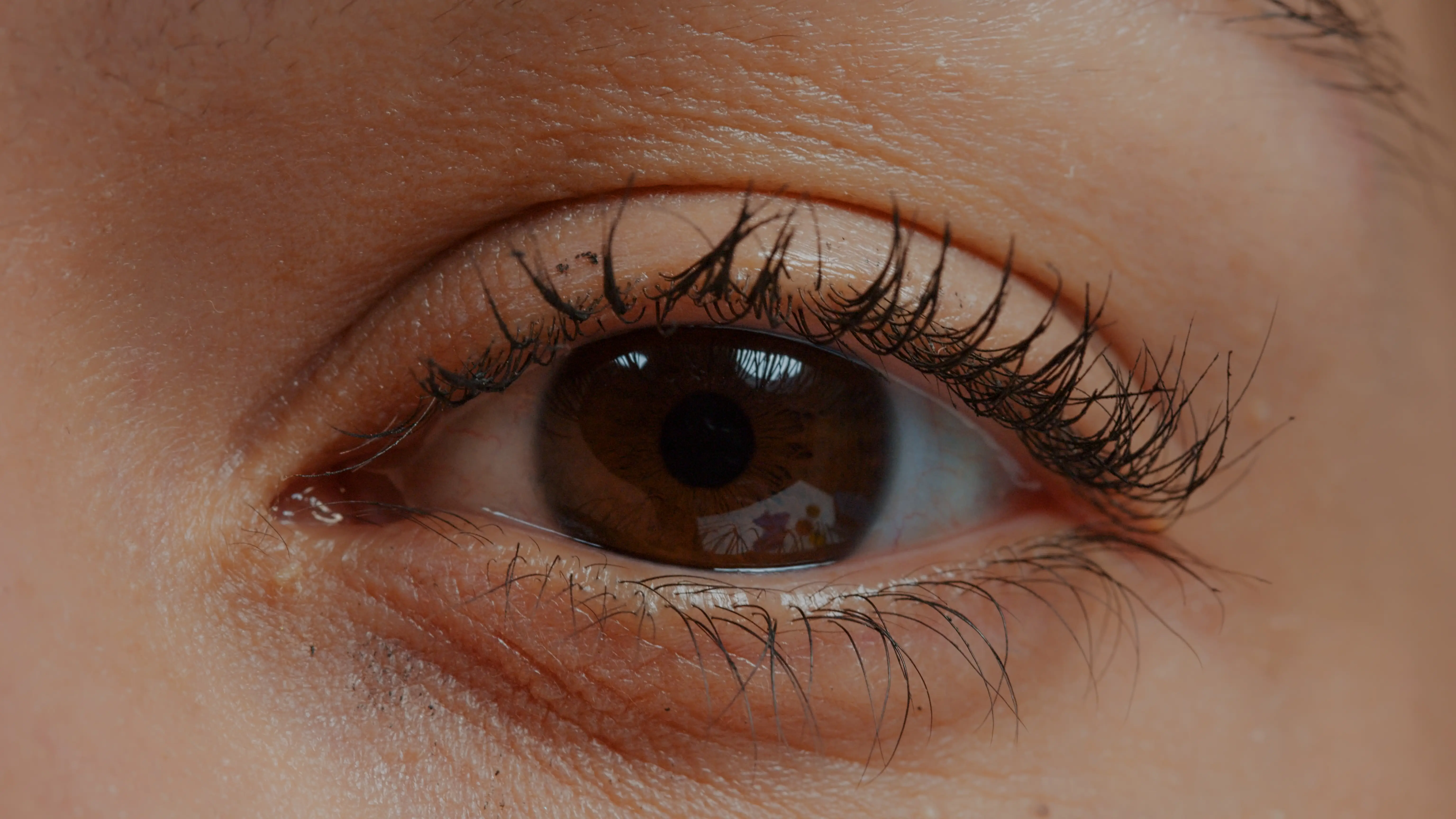 El ojo de una chica