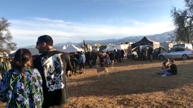 El alcalde de La Peza, sobre la fiesta 'rave': 