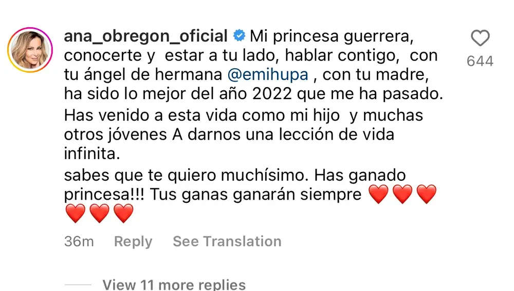 El estremecedor mensaje de Ana Obregón a Elena Huelva