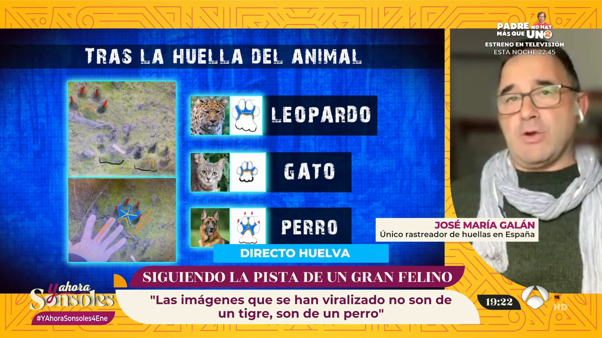 La búsqueda del felino en Los Barrios sigue adelante: "Descarto por completo que sea del género pantera" La búsqueda del felino en Los Barrios sigue adelante: "Descarto por completo que sea del género pantera"