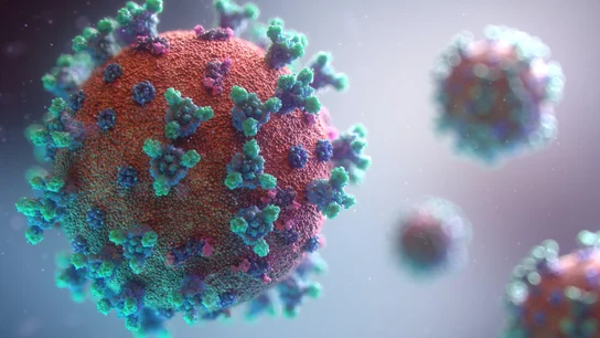 Coronavirus Coronavirus